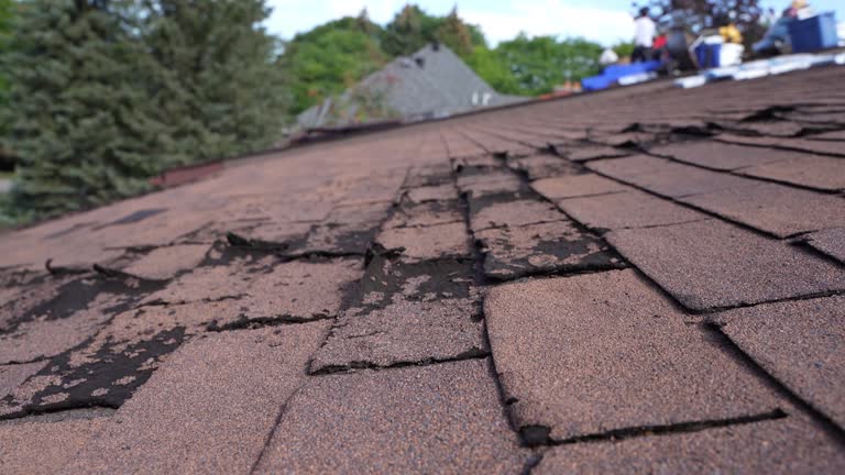 Best Steel Roofing  in Waterloo, IL