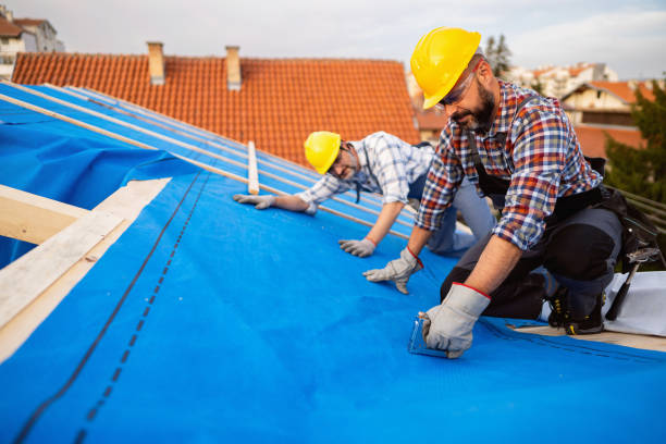 Best Flat Roofing  in Waterloo, IL