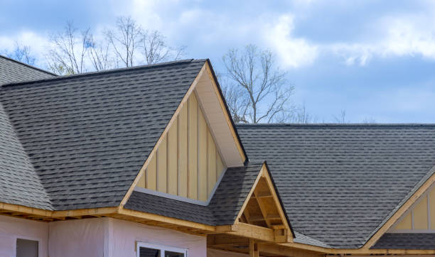 Best Rubber Roofing (EPDM, TPO)  in Waterloo, IL