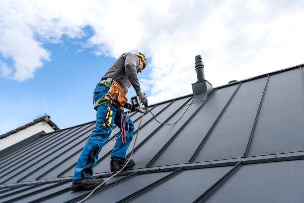 Best Flat Roofing  in Waterloo, IL