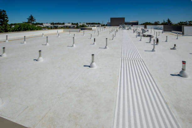 Best Rubber Roofing (EPDM, TPO)  in Waterloo, IL